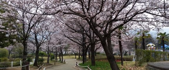 蓮池公園